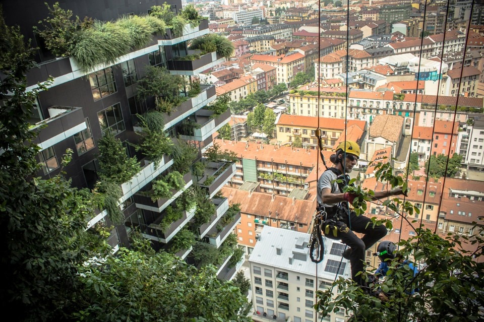 Flying gardens arcadis